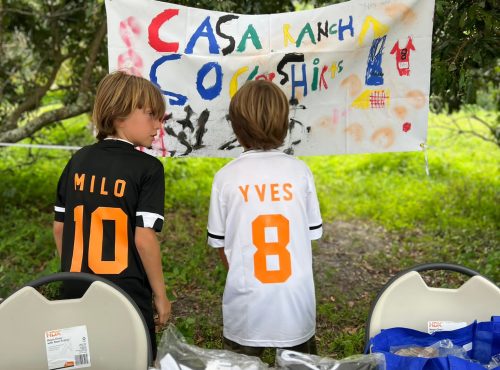 98a52d15-55fb-40a8-8ab3-6b03851ea5ac